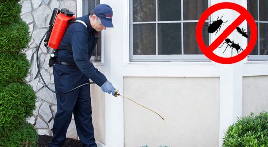 Susuz Bit İlaçlama böcek ilaçlama ve haşere kontrolü — ilaclama-tr.com